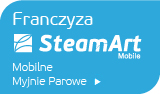 franczyza button